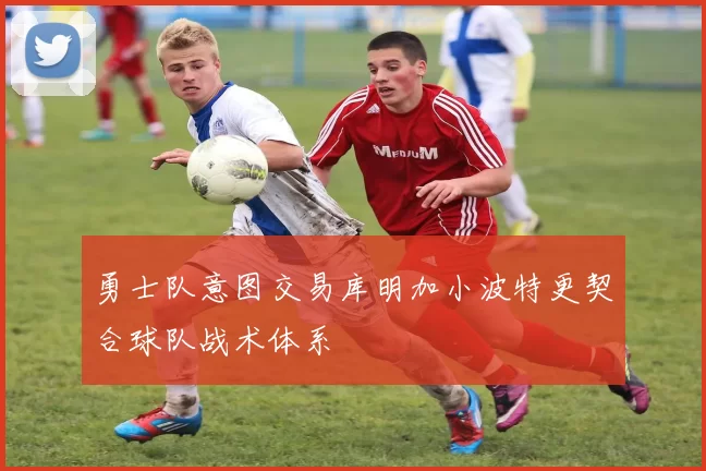 勇士队意图交易库明加小波特更契合球队战术体系