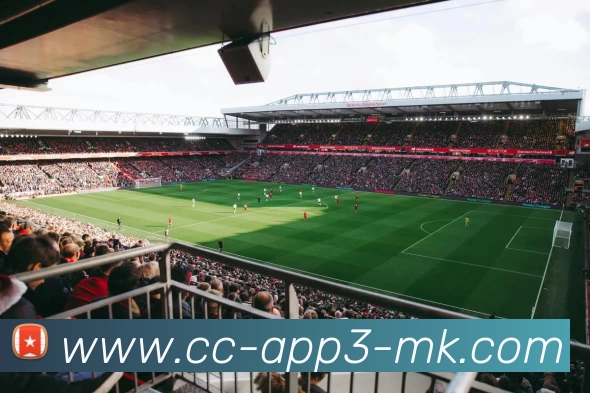 MK体育APP 封面图