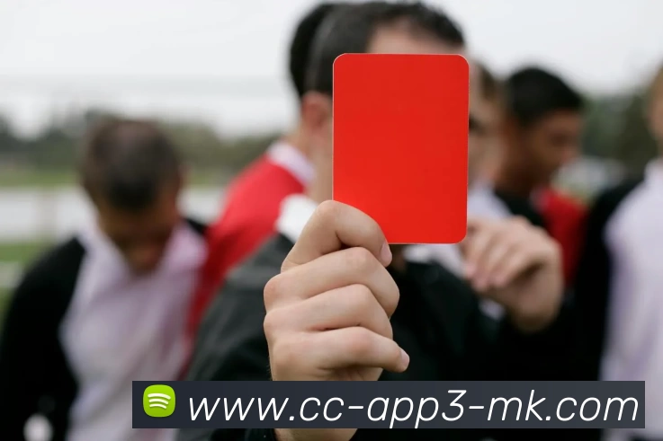 MK体育全站App